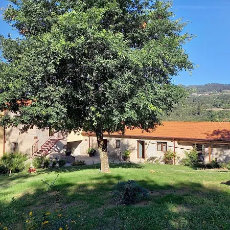 Quinta Pedra Do Rio - Amadeo *